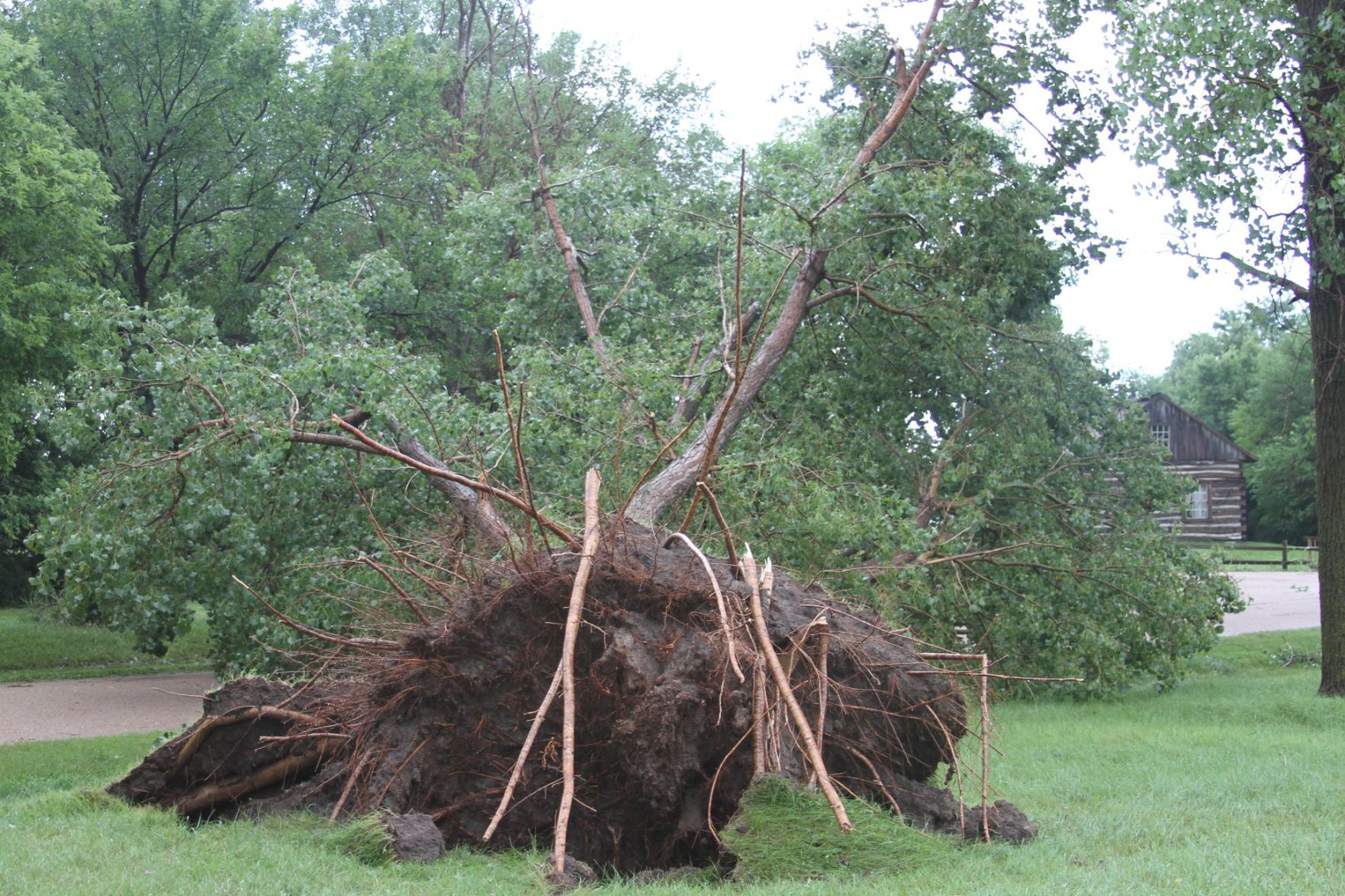 Sthur Museum Damage